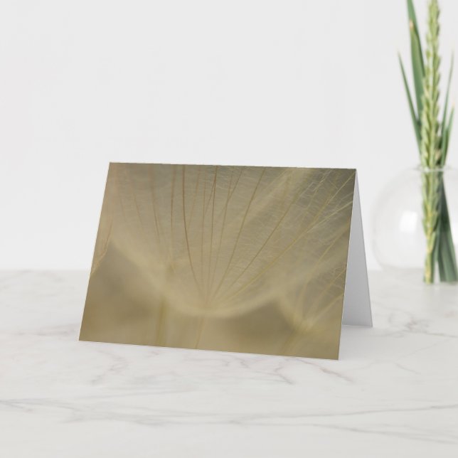 Tarjeta Flor blanca Wispy (Anverso)