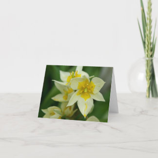 Tarjeta Flor blanca y amarilla Notecard