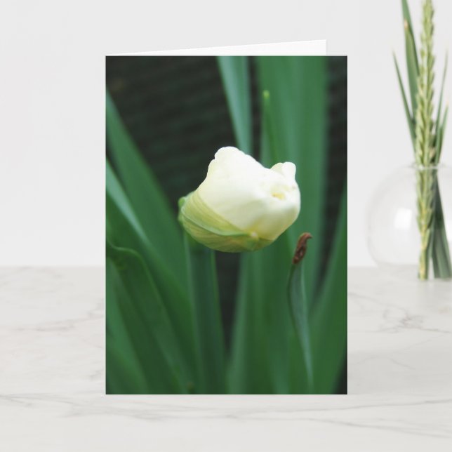 Tarjeta Flor Bud (Anverso)