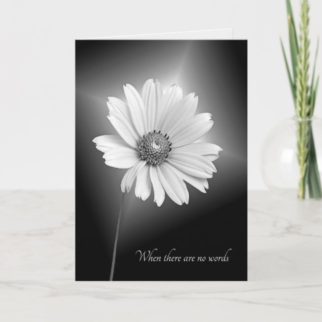 Tarjeta flor cosmos blanco de simpatía (Anverso)