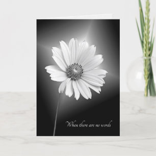 Tarjeta flor cosmos blanco de simpatía