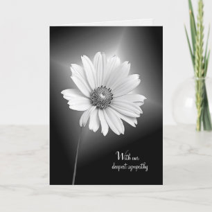 Tarjeta flor cosmos blanco de simpatía