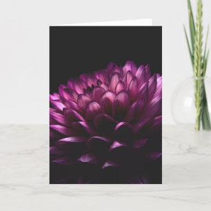 Tarjeta Flor Dahlia