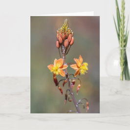 Tarjeta Flor de alote