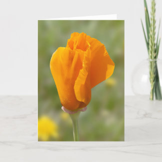 Tarjeta Flor de amapola dorada