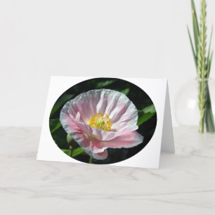 Tarjeta Flor de amapola rosa