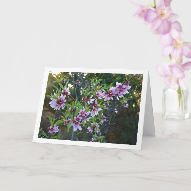Tarjeta Flor de árbol de almendro (Orquídea)