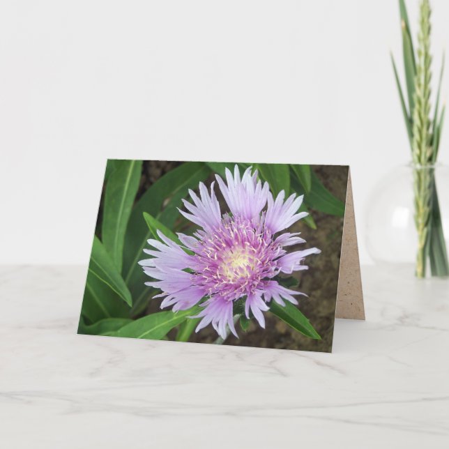 Tarjeta Flor de Aster de Blue Danube Stokes (Anverso)