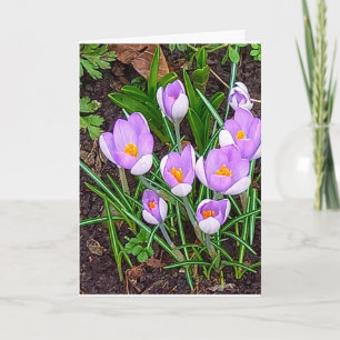 Tarjeta Flor de azafrán Feliz Pascua