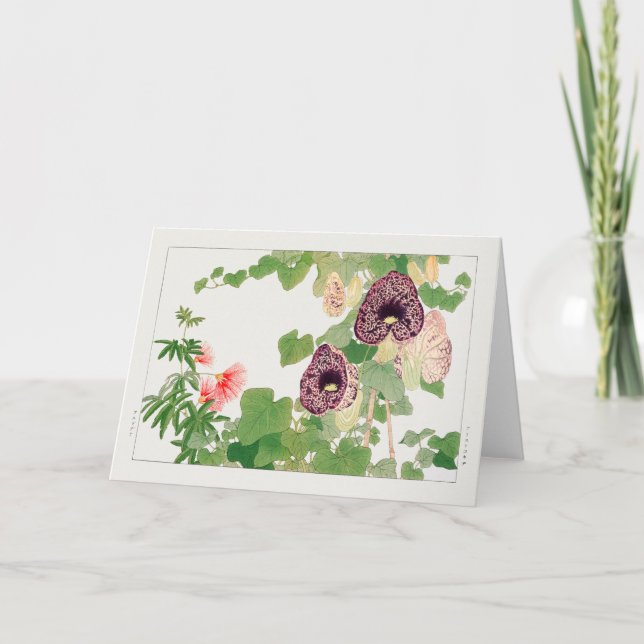 Tarjeta Flor de calico en polvos de Tanigami Konan (Anverso)