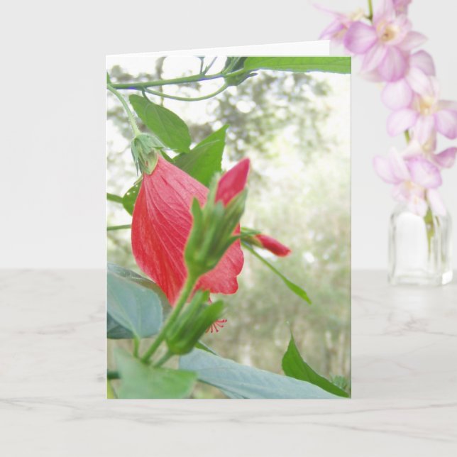 Tarjeta Flor de capucha roja y follaje verde (Orquídea)