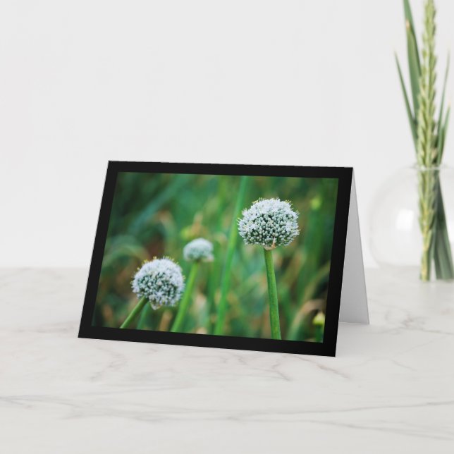 Tarjeta Flor de Cebolla Silvestre (Anverso)