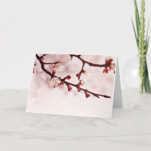 Tarjeta Flor de cerezo