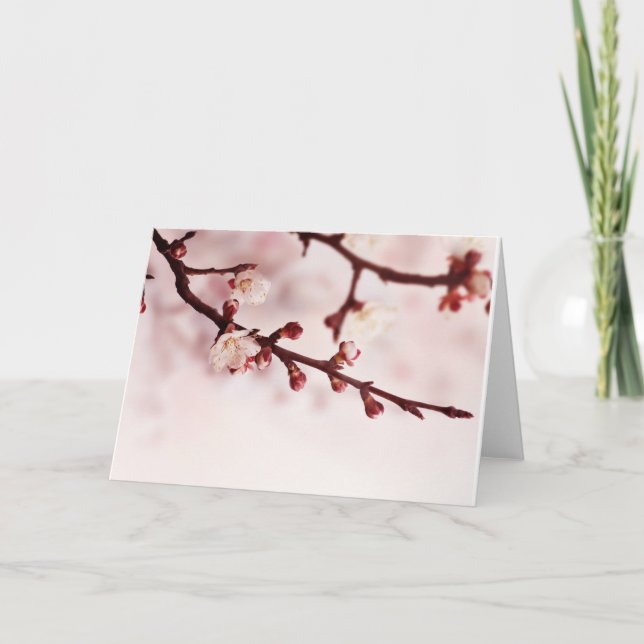 Tarjeta Flor de cerezo (Anverso)