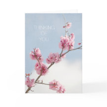 Flor de cerezo en el cielo que piensa en usted