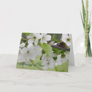 Tarjeta flor de cerezo, pensando en ti