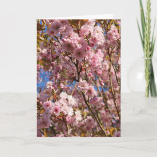 Tarjeta Flor de cerezo rosa de primavera