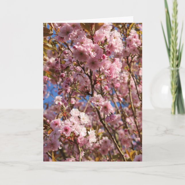 Tarjeta Flor de cerezo rosa de primavera (Anverso)