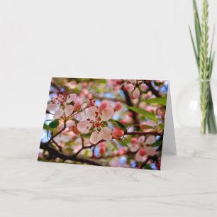Tarjeta Flor de cerezo [Tarjeta de felicitación]