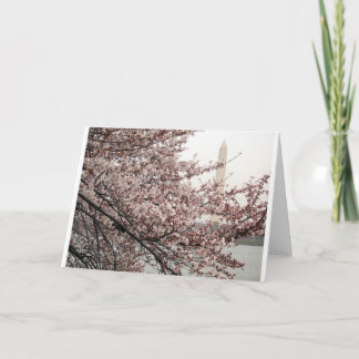 Tarjeta Flor de cerezo Washington DC