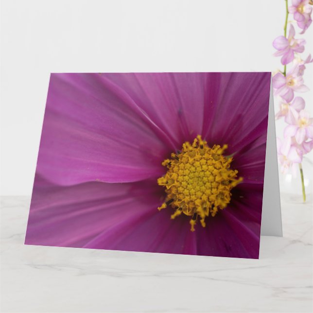 Tarjeta Flor de coco (Orquídea)