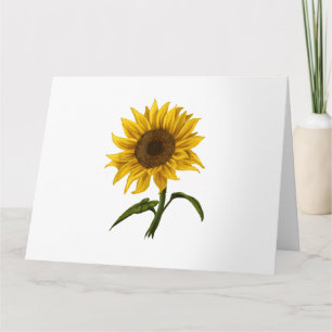 Tarjeta Flor de color de agua floral Sunflower