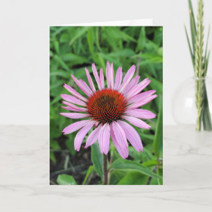 Tarjeta Flor de cono rosa