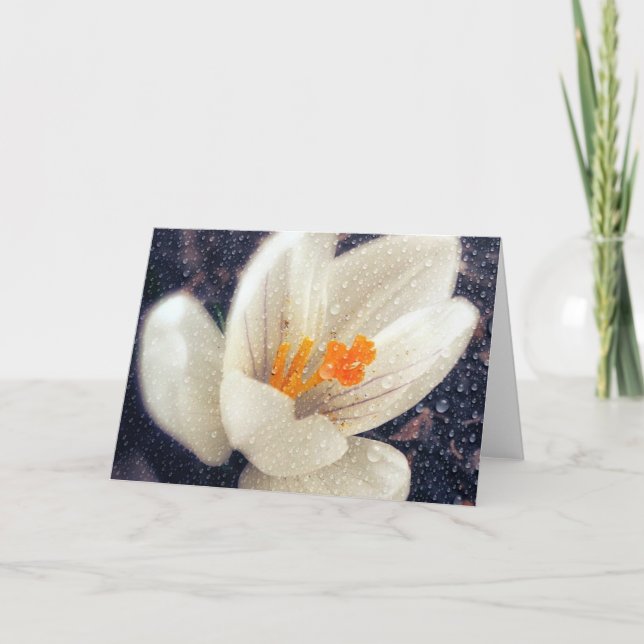 Tarjeta Flor de Crocus Rainy Day (Anverso)