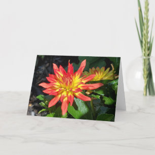 Tarjeta Flor de Dahlia