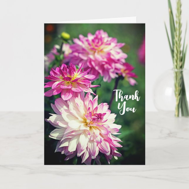 Tarjeta Flor de Dahlia rosa y blanca gracias (Anverso)