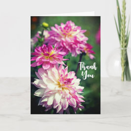 Tarjeta Flor de Dahlia rosa y blanca gracias