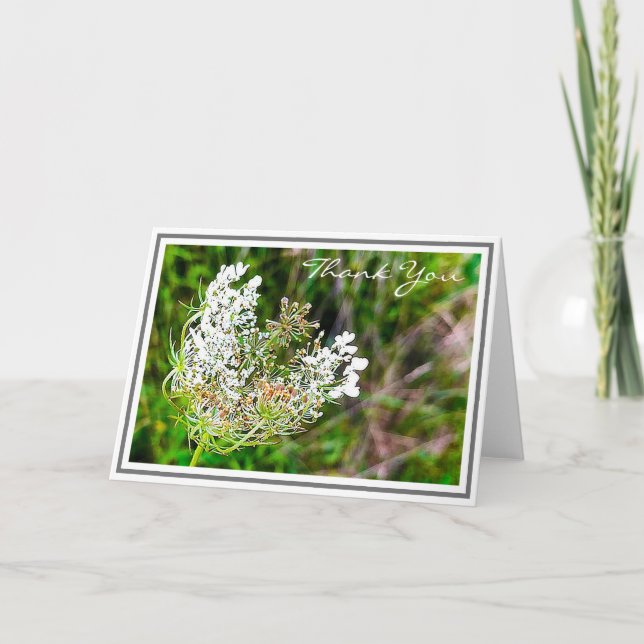 Tarjeta Flor de encaje de la reina blanca Ana en campo ver (Anverso)