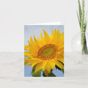 Tarjeta Flor de girasol amarillo floral blanco notecard