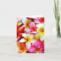 Flor de Hawaii del Frangipani del Plumeria