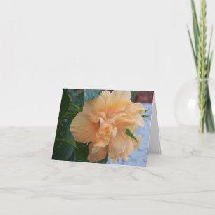 Tarjeta Flor de hibisco naranja sobre un notecard en blanc