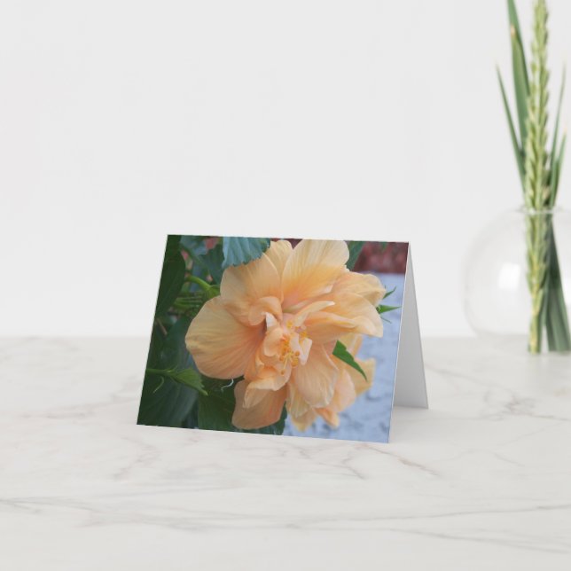 Tarjeta Flor de hibisco naranja sobre un notecard en blanc (Anverso)