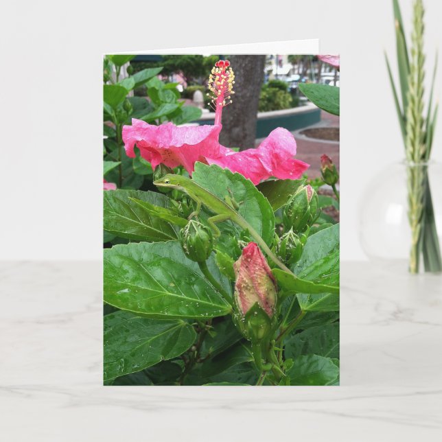 Tarjeta Flor de Hibiscus Tropical Rosa Camuflada Lizard (Anverso)