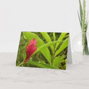 Tarjeta Flor de Jengibre Rojo (Alpinia) Tropical