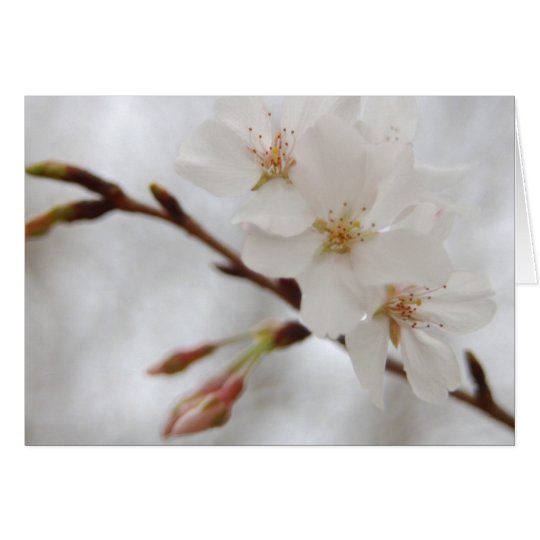 Tarjeta Flor de la primavera
