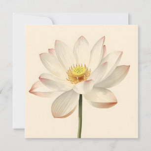 Tarjeta Flor de loto blanca