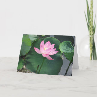 Tarjeta Flor de Lotus