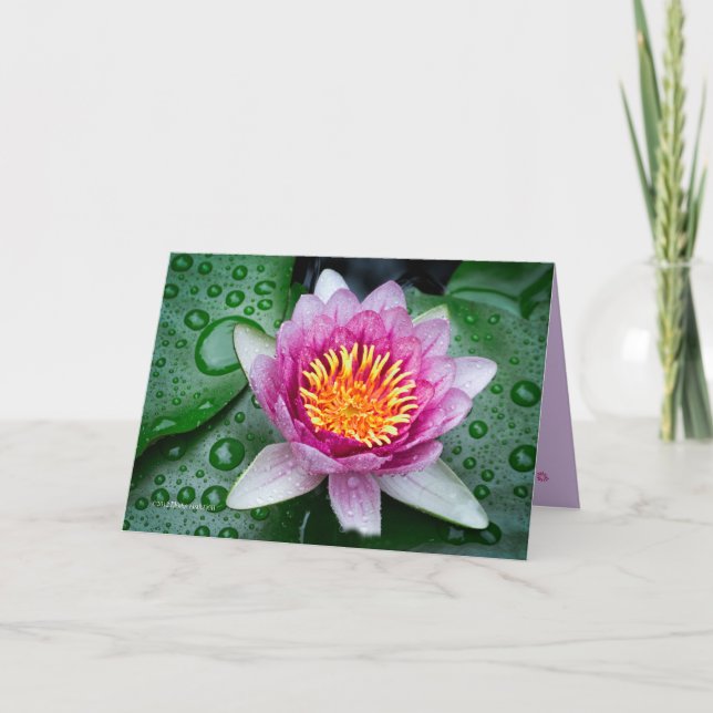 Tarjeta Flor de Lotus (Anverso)