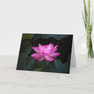 Tarjeta Flor de Lotus