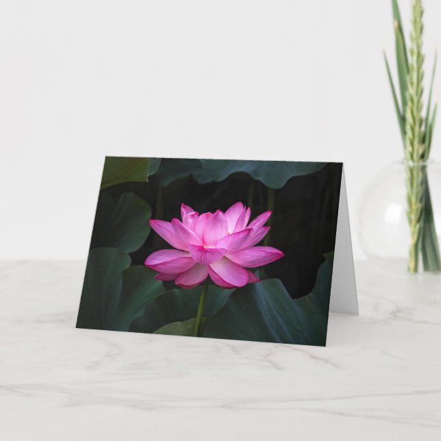 Tarjeta Flor de Lotus (Anverso)