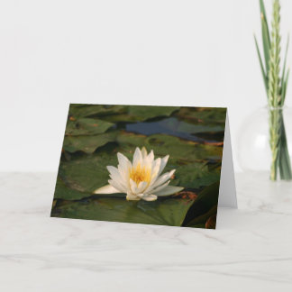 Tarjeta Flor de Lotus blanco