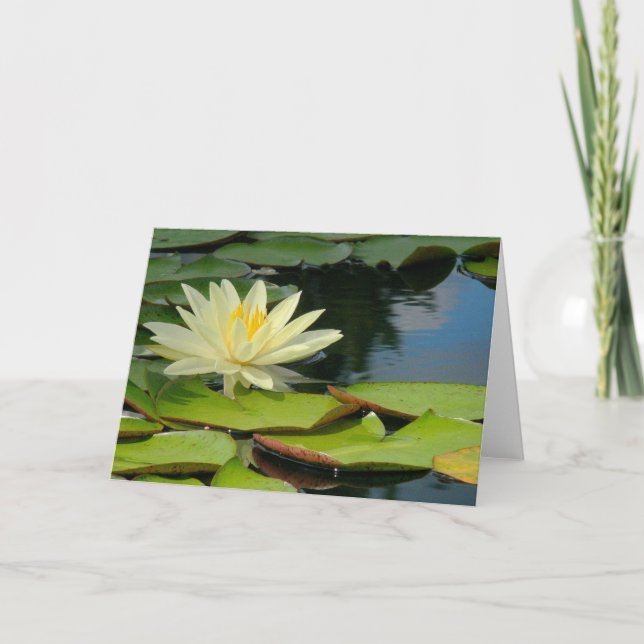 Tarjeta Flor de Lotus (fotografía) con presupuesto de Buda (Anverso)