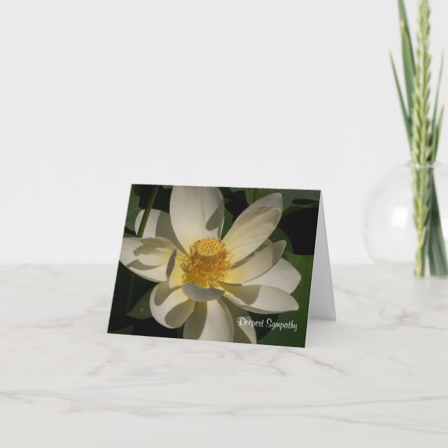 Tarjeta Flor de Lotus, la condolencia más profunda (Anverso)