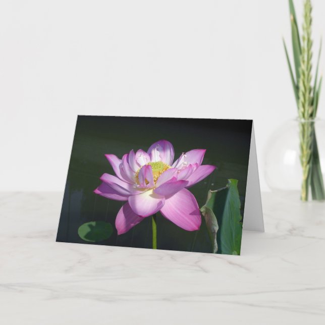 Tarjeta Flor de Lotus rosada (Anverso)