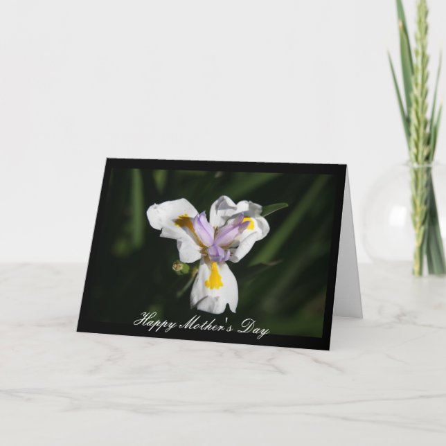 Tarjeta flor de madre delicada (Anverso)