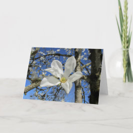 Tarjeta Flor de magnolia blanca en el árbol